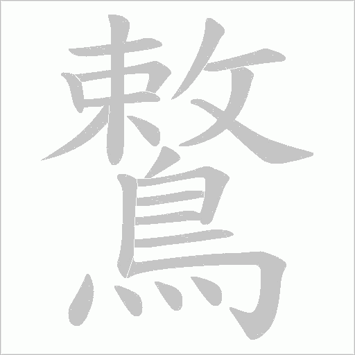 鷘的筆順動畫演示