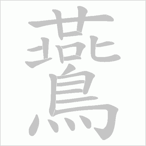 鷰的筆順動畫演示