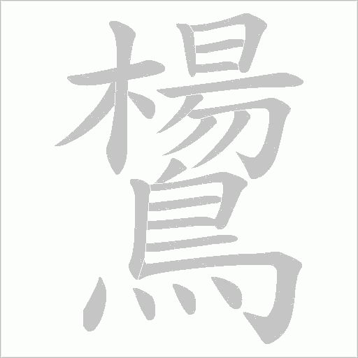 鸉的筆順動畫演示