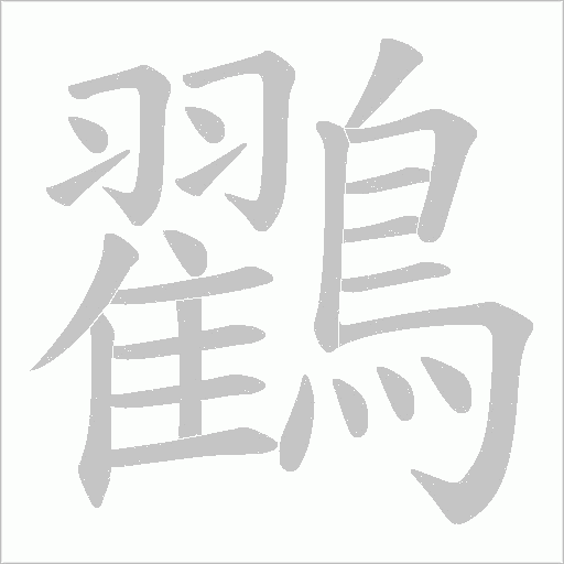 鸐的筆順動畫演示