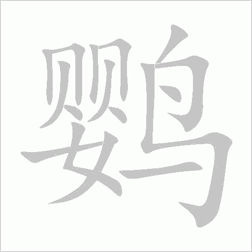 鸚的筆順動(dòng)畫演示