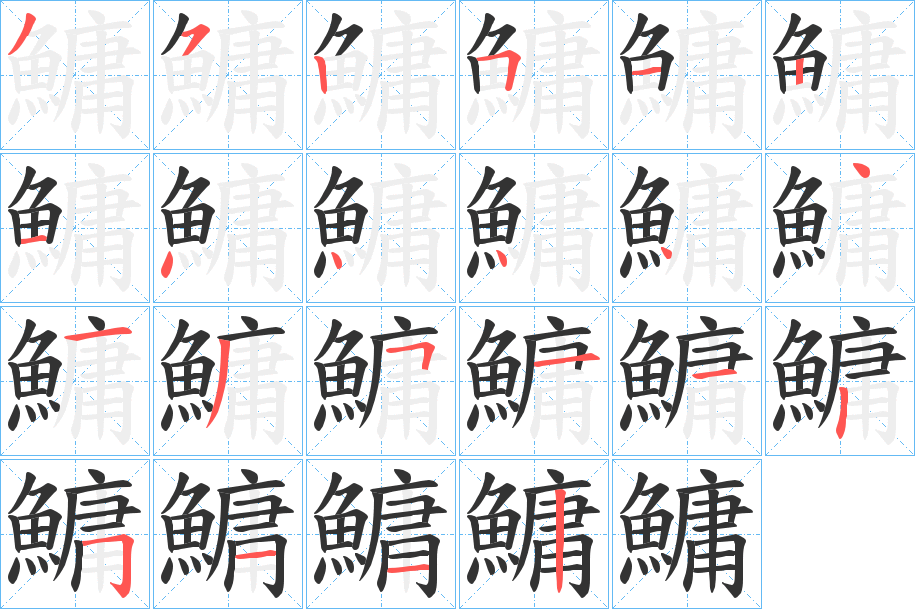 鱅的筆順分步演示