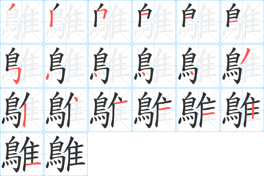 鵻的筆順分步演示