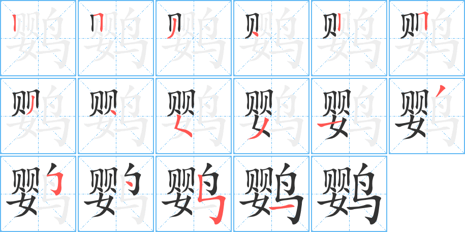 鸚的筆順分步演示